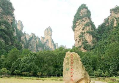 走湘西——張家界、鳳凰古城游記(一)